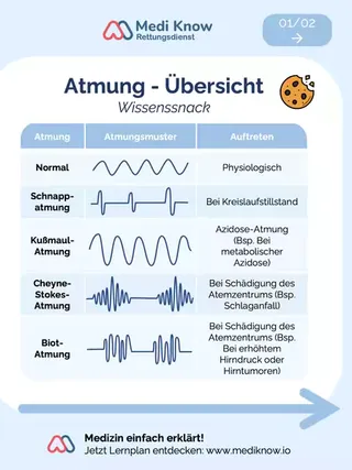Woran erkennst du den Unterschied zwischen Cheyne-Stokes- und Biot-Atmung? 💬 Schreib die Antwort in die Kommentare. 🎯 Notfallmedizin meistern mit System. 🤌 Entdecke unsere Skripte und Lernkarten zur N