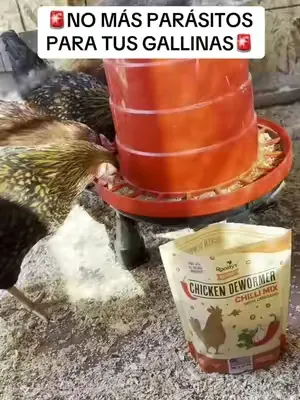 Mándale esto a cada dueño de gallinas que conozcas