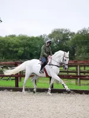 Olive Air for Spring 🫒 #reincoat #equestrianlife #fyp #equestriangirl #equestrian 