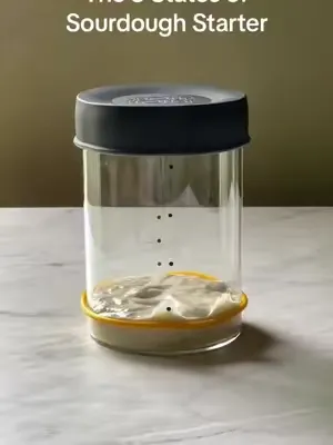 The 5 Stages of Sourdough Starter Sourhouse.com #sourdough #sourdoughbaking #sourdoughstarter #sourdoughstarterfeeding #timelapse #levain 