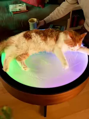 The Oasis Coffee Table sculpts a graceful sea turtle, bringing oceanic tranquility to your living space.