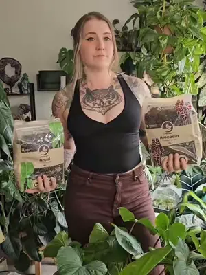 Cute New Plant Soil Bags (1L Pouches) 🌱 Absolutely obsessed with these cute little 1L soil pouches 🥹🌿 . Click the link in my BIO.. #Sybotanica #planttok #plantsoil #soilmix #houseplantcare #plantcare